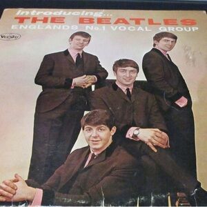The Beatles Vinyl Record Album - Classic Black and Pink Cover
